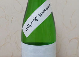 alt 1