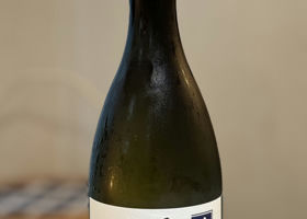 alt 1