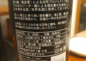 alt 2