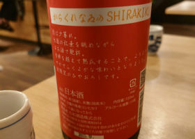alt 3