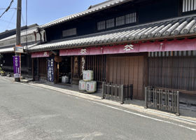 alt 3