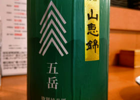 alt 1