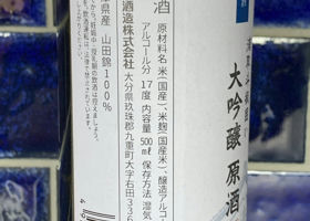 alt 3