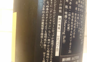 alt 3