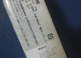 alt 3