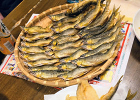かぶとむし チェックイン 3