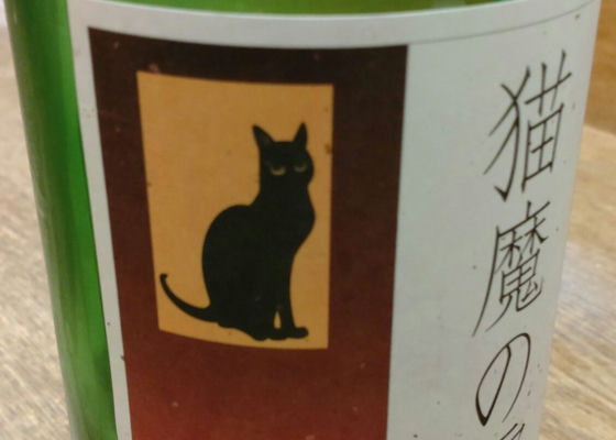 猫魔の雫 チェックイン 1