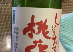 alt 1