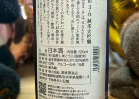 alt 3
