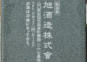 alt 3