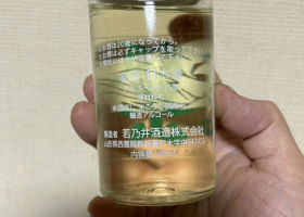 alt 2
