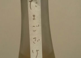 alt 1