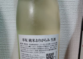 alt 2