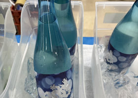 龍力 チェックイン 2