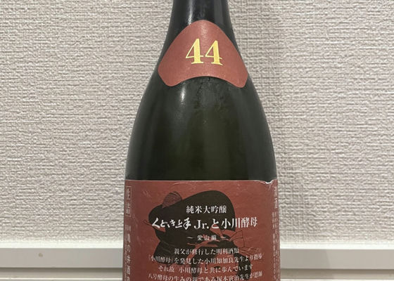 alt 1