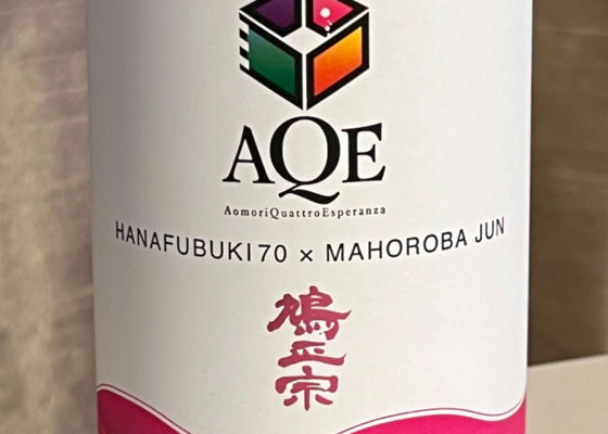 alt 1