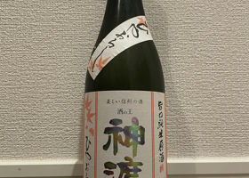 alt 1