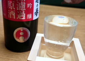 alt 1