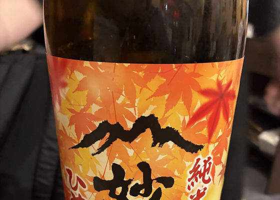 妙高山 チェックイン 1