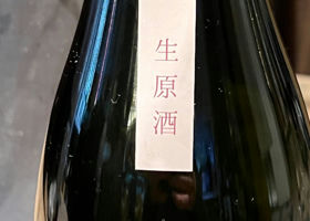 alt 3