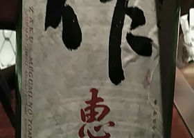alt 1