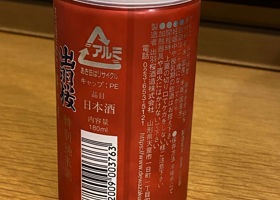 alt 2