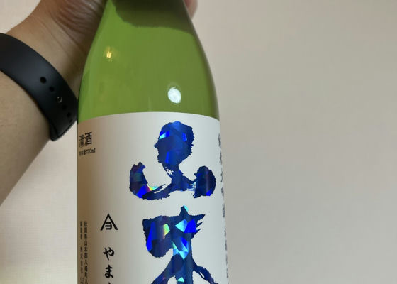 alt 1