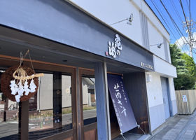 alt 3