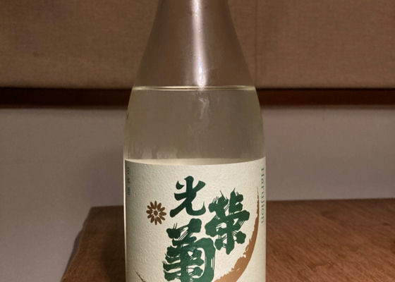 光栄菊