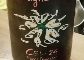 alt 2