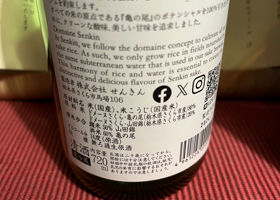 alt 3