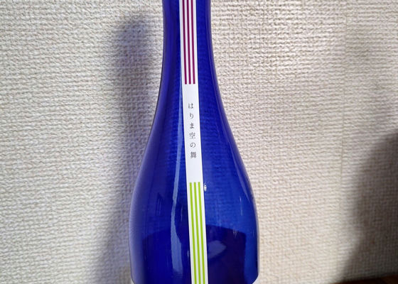 alt 1