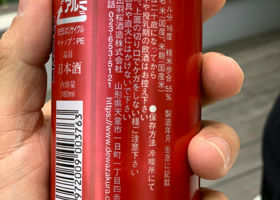 alt 3