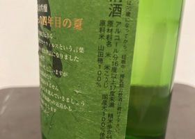 alt 3