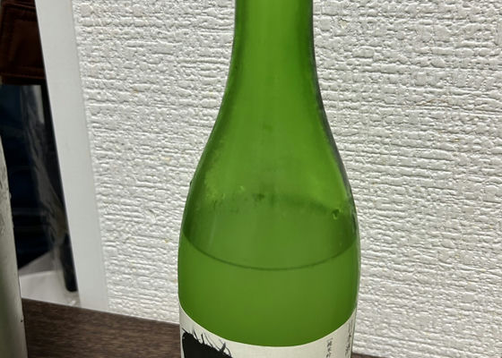 alt 1