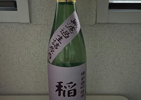 alt 3