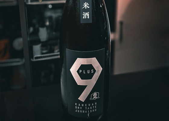 alt 1