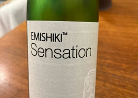 Emishiki Check-in 1