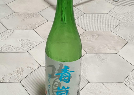 alt 1