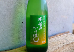 木曽の桟 チェックイン 1