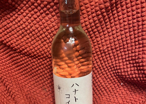alt 1