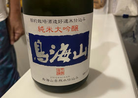 alt 1