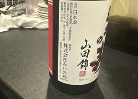 alt 3
