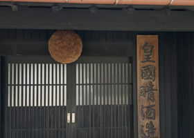 alt 3
