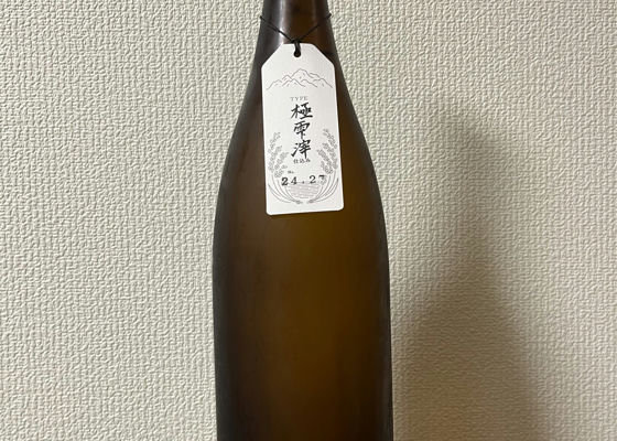 alt 1