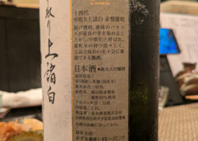 alt 3