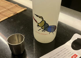 alt 1