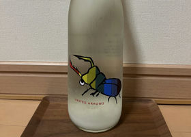 alt 1