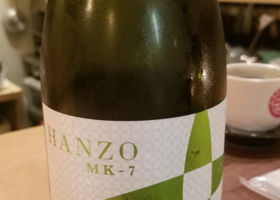 Hanzo Check-in 2