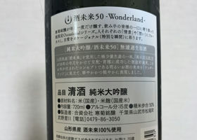 alt 2